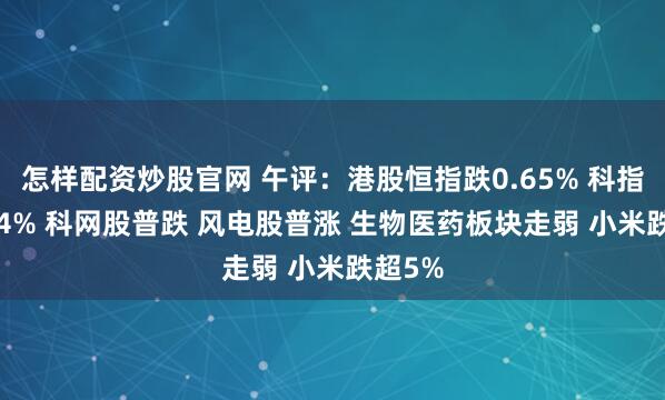 怎样配资炒股官网 午评：港股恒指跌0.65% 科指跌1.04% 科网股普跌 风电股普涨 生物医药板块走弱 小米跌超5%