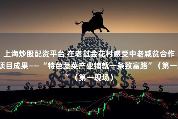 上海炒股配资平台 在老挝金花村感受中老减贫合作示范项目成果—— “特色蔬菜产业铺就一条致富路”（第一现场）