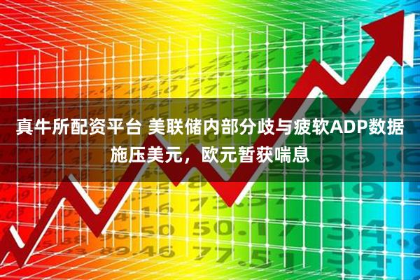 真牛所配资平台 美联储内部分歧与疲软ADP数据施压美元，欧元暂获喘息