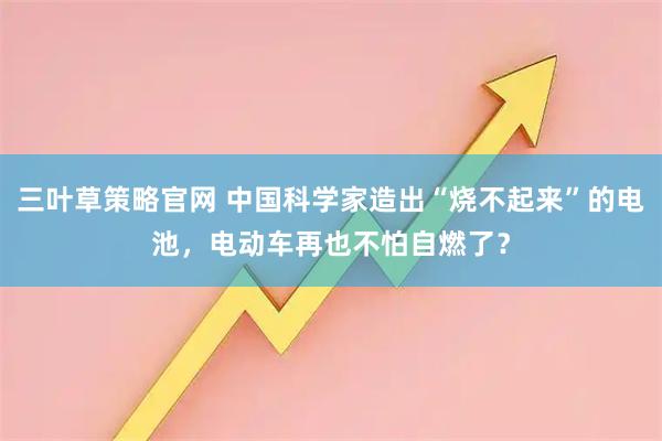 三叶草策略官网 中国科学家造出“烧不起来”的电池，电动车再也不怕自燃了？