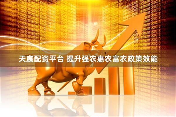 天宸配资平台 提升强农惠农富农政策效能